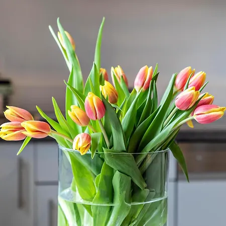 Apartament Am Weissgerber Münsingen